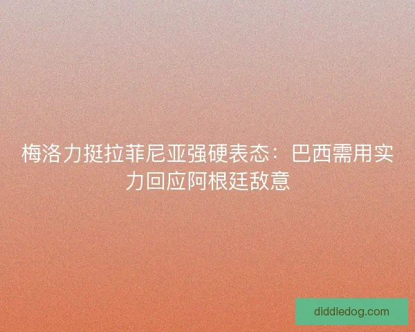 梅洛力挺拉菲尼亚强硬表态：巴西需用实力回应阿根廷敌意