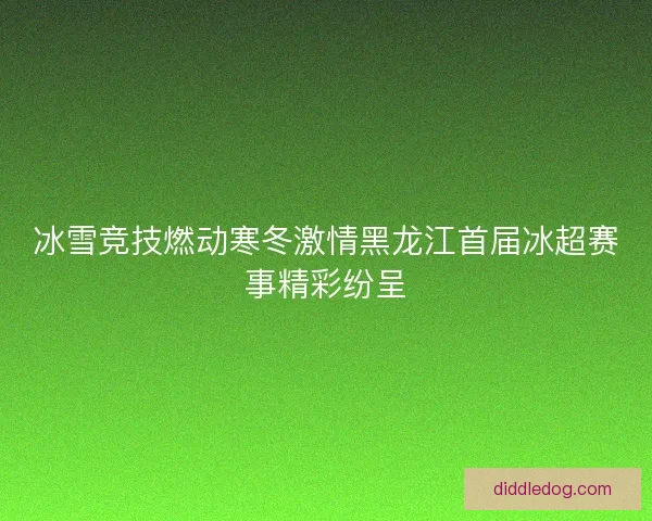 冰雪竞技燃动寒冬激情黑龙江首届冰超赛事精彩纷呈