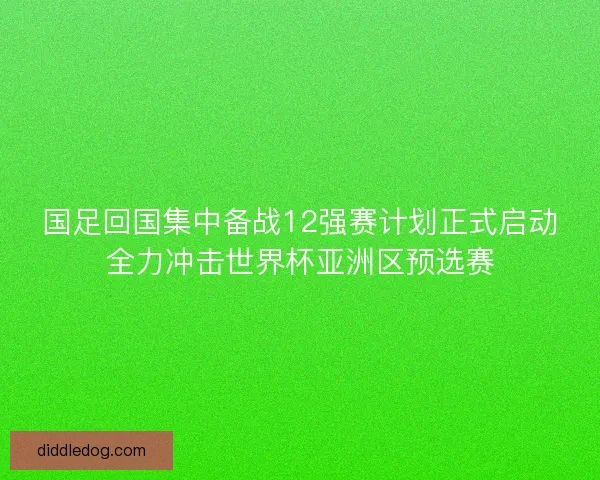 国足回国集中备战12强赛计划正式启动全力冲击世界杯亚洲区预选赛