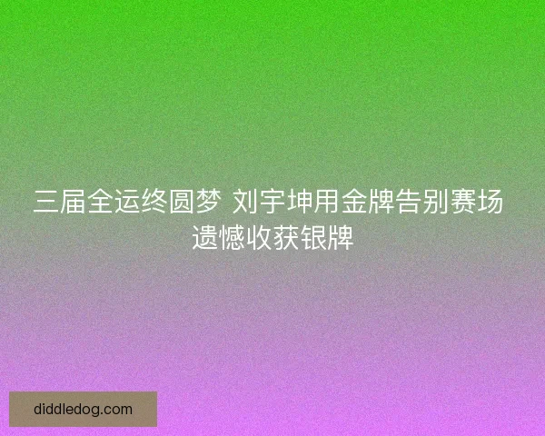 三届全运终圆梦 刘宇坤用金牌告别赛场 遗憾收获银牌