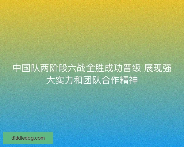 中国队两阶段六战全胜成功晋级 展现强大实力和团队合作精神